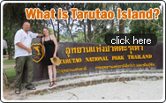 What is Tarutao Island